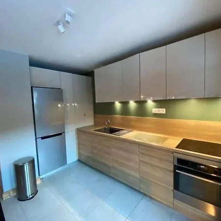 2 Bedroom Modern Interior Parking On Site Essert-Romand